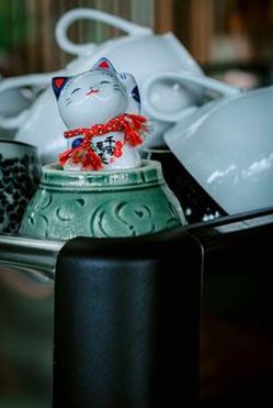 tìm hiểu về đặt cược theo tỷ lệ